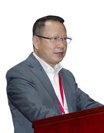 丁玮